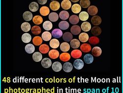 10 Fakta Menarik yang Bikin Pengetahuan Kamu Tambah Luas