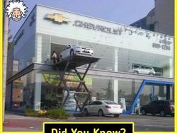 10 Fakta Menarik yang Bikin Pengetahuan Kamu Tambah Luas