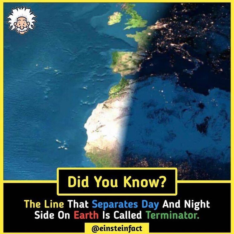 Tahukah Kamu Einstein Fact