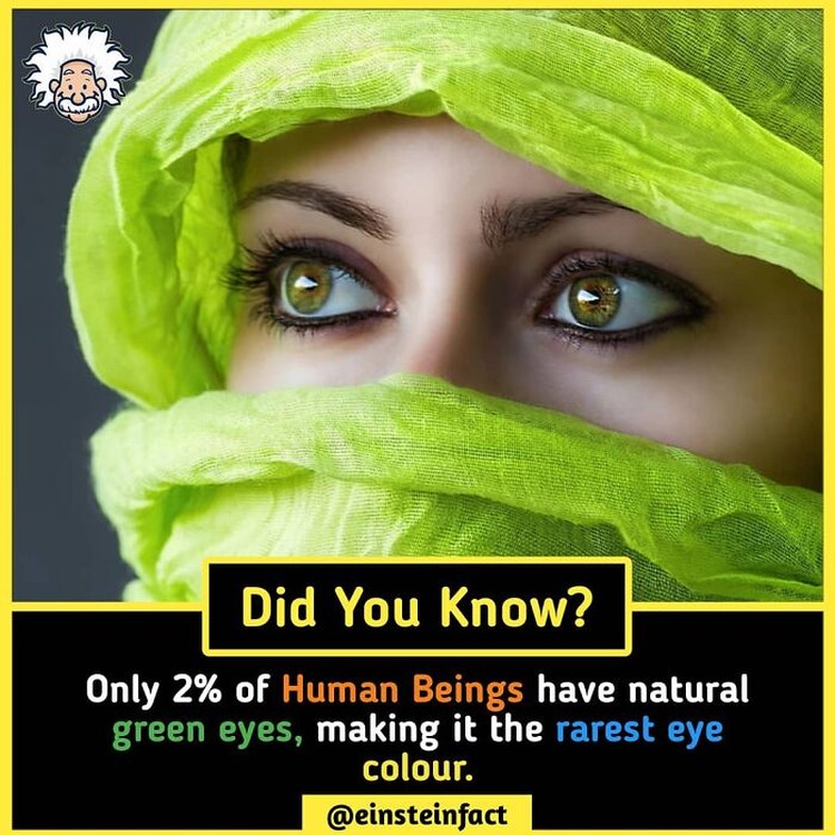 Tahukah Kamu Einstein Fact