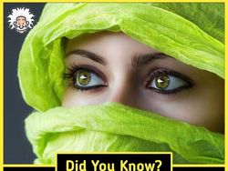 10 Fakta Menarik yang Bikin Pengetahuan Kamu Tambah Luas