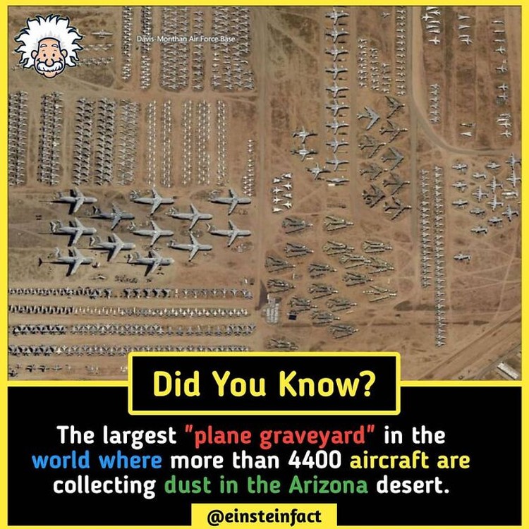Einstein Fact