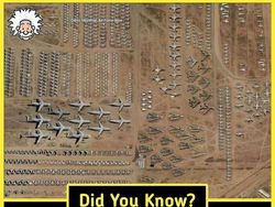 10 Fakta Menarik yang Bikin Pengetahuan Kamu Tambah Luas