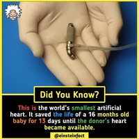 Einstein Fact