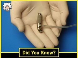 10 Fakta Menarik yang Bikin Pengetahuan Kamu Tambah Luas