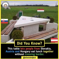 Einstein Fact
