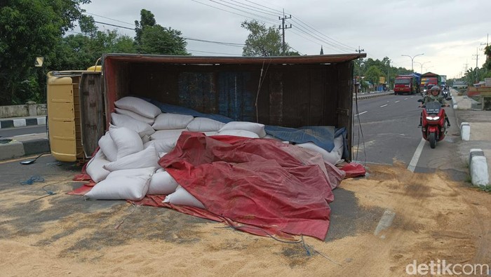 Truk muat pakan ternak di Jombang terguling gegera hindari kucing nyebrang