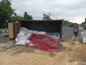 Hindari Kucing Nyebrang, Truk Muat Pakan Ternak di Jombang Terguling