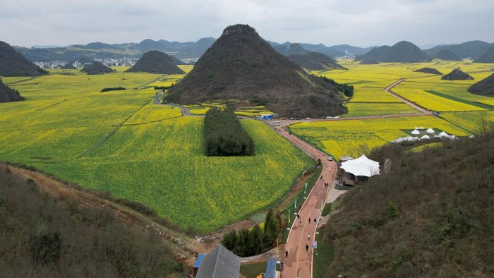 1469350036 LUOPING, CHINA - FEBRUARY 24: Aerial view of blooming rapeseed flowers at Jinji Fengcong Scenic Area on February 24, 2023 in Luoping County, Qujing City, Yunnan Province of China. (Photo by Li Jiaxian/China News Service/VCG via Getty Images)