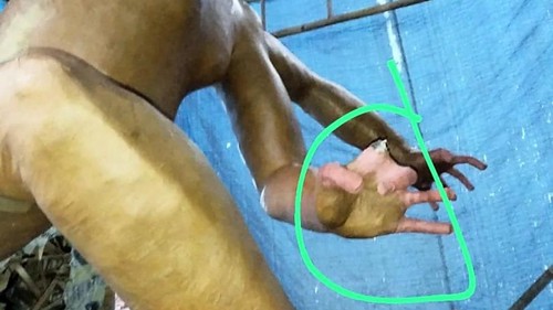 Bagian jari pada tangan kiri ogoh-ogoh buatan Sekaa Teruna-Teruni (STT) Eka Putra Adnyana, Banjar Malkangin, Desa Dajan Peken, yang diduga dirusak orang tidak dikenal. (istimewa)