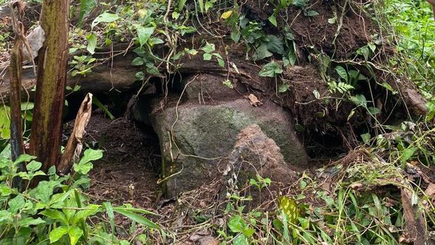Batu mirip sarkofagus ditemukan di Kecamatan Melaya, Kabupaten Jembrana, Jumat (24/2/2023).
