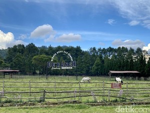 Tiket Masuk dan Fasilitas De Ranch Lembang Bandung