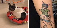 Biasanya tato bakal menyajikan hasil yang keren dan gahar. Tapi tidak dengan hasil yang satu ini, yang mana terlihat begitu menggemaskan.