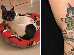 Deretan Foto Tato Kartun yang Menggemaskan