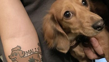 Misalnya tato anjing yang jadi imut ini. Foto: (Bored Panda)