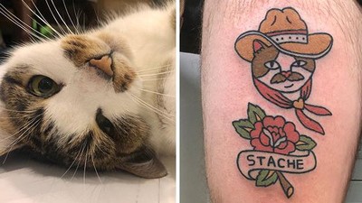 Foto Tato Kartun yang Imut Karya Seniman Korea