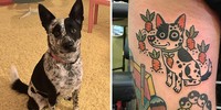 Biasanya tato bakal menyajikan hasil yang keren dan gahar. Tapi tidak dengan hasil yang satu ini, yang mana terlihat begitu menggemaskan.