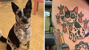 Hingga saat ini, ia sudah mampu mengumpulkan 94,1 ribu follower di Instagram. Foto: (Bored Panda).