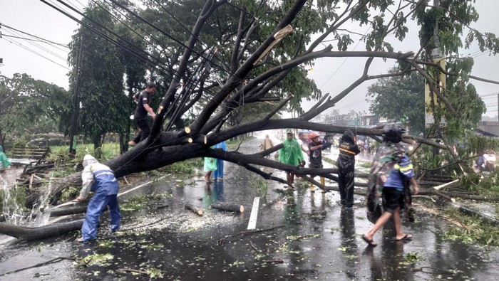 Petugas dan relawan memotongi pohon yang tumbang ke jalan raya Solo - Semarang, di Teras, Boyolali.