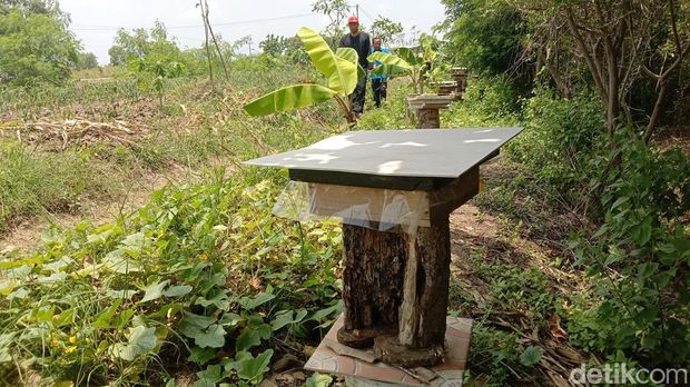 Madu di Kawasan Hutan Indramayu