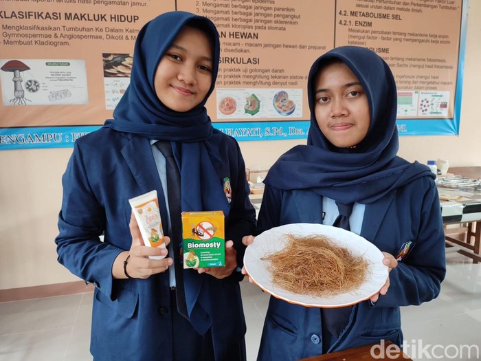 Siswi SMAN 3 Ponorogo membuat larvasida dari rambut jagung