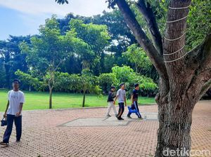 Geger Pria Pamer Kelamin di Situbondo, Ternyata ODGJ Celananya Melorot