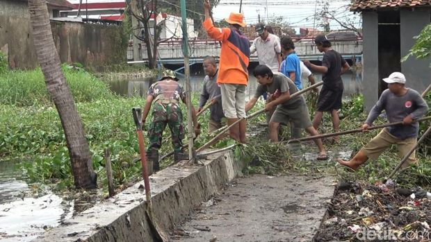 TNI dan warga membersihkan eceng gondok di aliran Sungai Bremi, Kabupaten Pekalongan, Sabtu (25/2/2023).