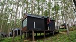 Lihat Lagi Lokasi Jokowi-Iriana Nginap di Kawasan Glamping IKN