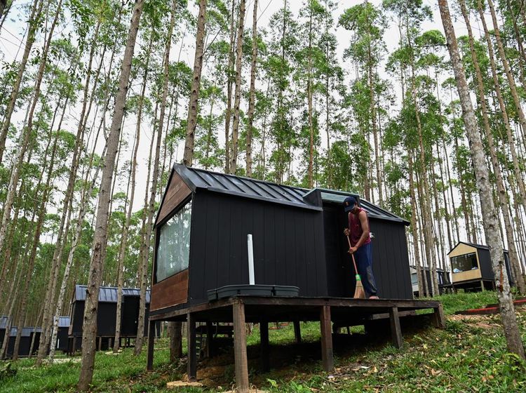 Lihat Lagi Lokasi Jokowi-Iriana Nginap di Kawasan Glamping IKN