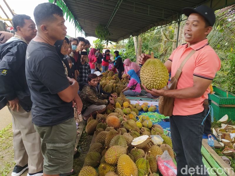 Bazar durian di lokasi Festival TanDurian di Bojong, Candimulyo, Magelang, Minggu (26/2/2023).
