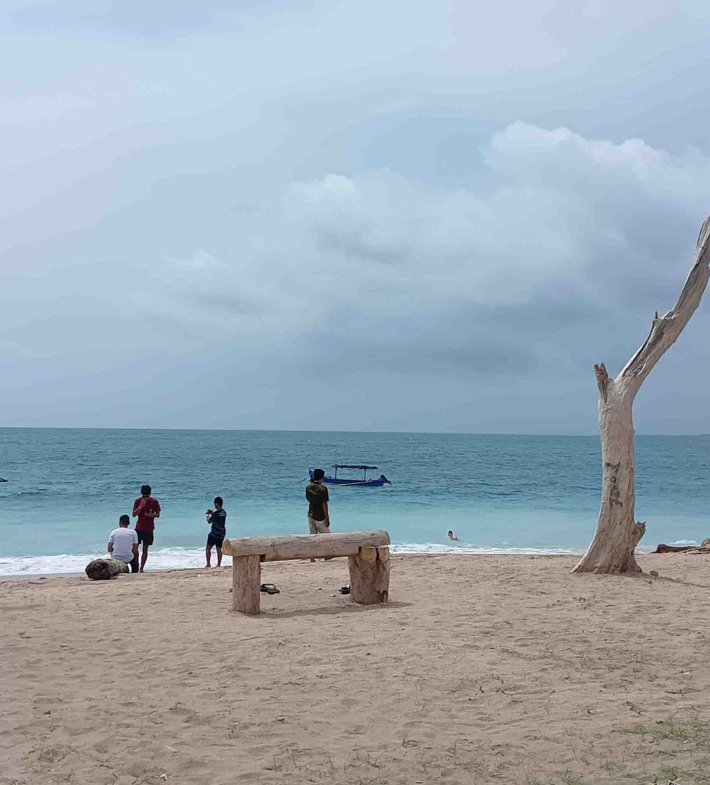Beberapa kayu besar ini merupakan sampah kayu laut sengaja menjadikannya tempat duduk di Pantai Jerman. (Triwidiyanti/detikBali)