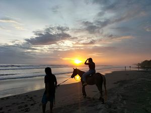 Naik Kuda Susuri Pantai Rambut Siwi, Lalu Nikmati Betutu