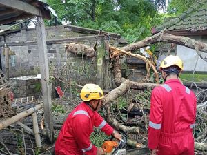 Dua Rumah Warga Karangasem Rusak Tertimpa Pohon Tumbang