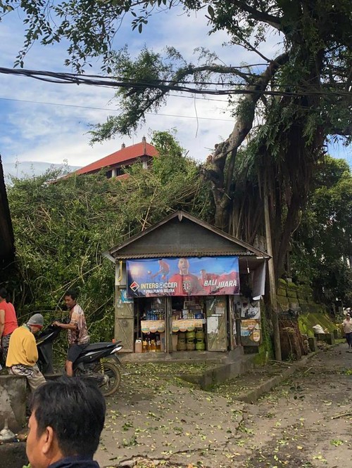 Dahan pohon beringin yang berada di Banjar Dinas Pasek, Desa Tajun, Kecamatan Kubutambahan, Kabupaten Buleleng, Bali patah akibat diguyur hujan deras disertai angin kencang, Minggu (26/2/2023) pagi sekitar pukul 09.30 Wita. (IST)