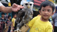 Kegiatan yang digelar oleh komunitas pecinta burung hantu di Solo tersebut sebagai sarana edukasi bagi warga mengenai berbagai jenis burung hantu dan perawatannya.