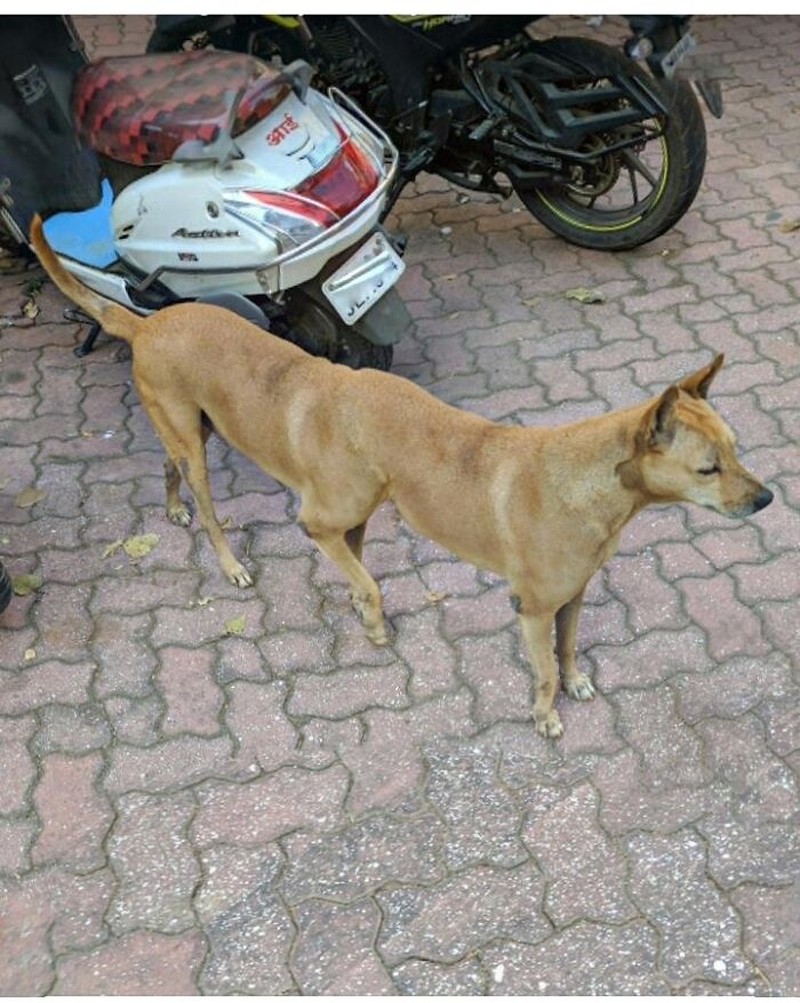 Foto kocak Google Maps