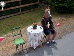 Deretan Penampakan Aneh dan Kocak di Google Maps