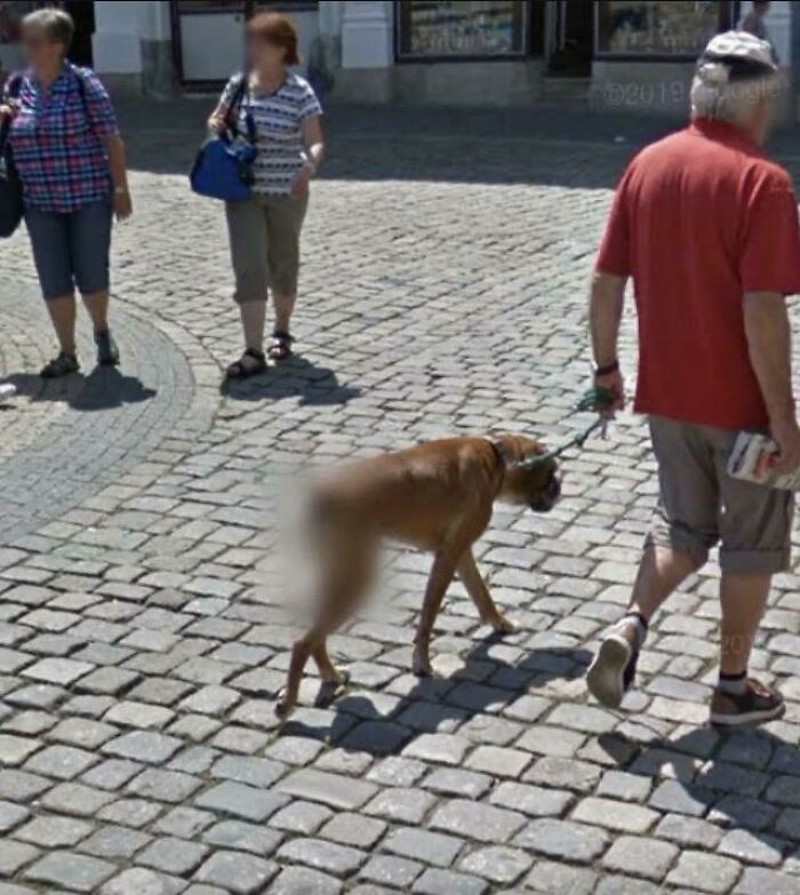 Foto kocak Google Maps
