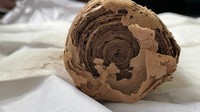 Gulungan itu ditemukan di Saqqara di dalam peti mati dekat Piramida Djoser. Penemuan ini dirilis pada 14 Januari 2023 lalu dan fotonya dirilis utuh pertama kali pada Februari 2023 ini, dilansir Live Science. (Foto: Dok. Kementerian Pariwisata dan Kepurbakalaan Mesir)