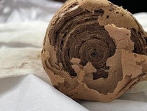 Sebelum Pakai Kertas, Sejarah Buku Ternyata Berawal dari Bahan Ini