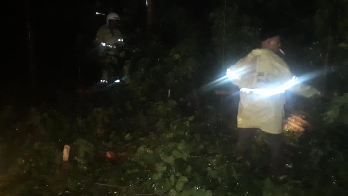 Wilayah DKI Jakarta diguyur hujan cukup deras sejak hingga malam ini. Sejumlah pohon dan papan reklame tumbang di sejumlah titik Ibu Kota.