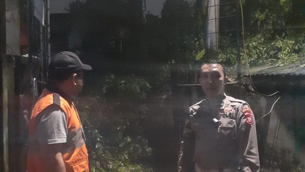 Wilayah DKI Jakarta diguyur hujan cukup deras sejak hingga malam ini. Sejumlah pohon dan papan reklame tumbang di sejumlah titik Ibu Kota.