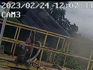 Detik-detik 3 Pekerja Tewas di Blok Rokan, Ada Upaya Saling Membantu