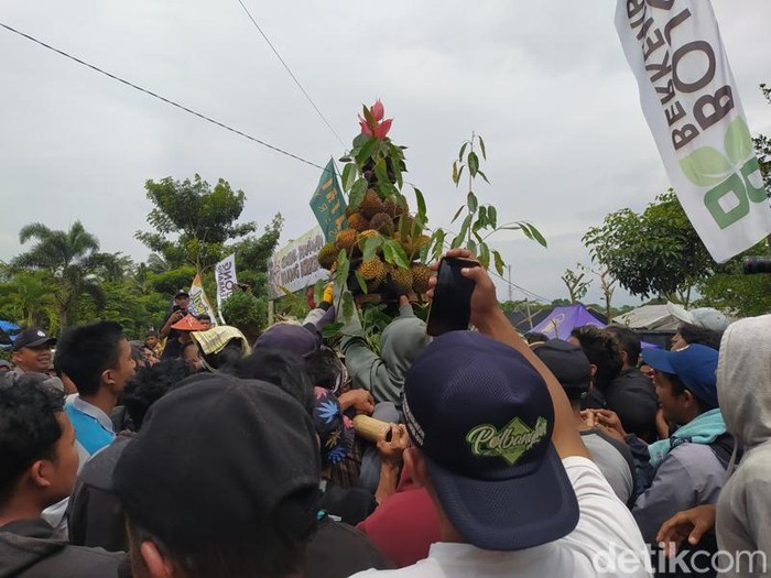 Warga berebut gunungan durian dan tanaman hias dalam event Festival TanDurian di Bojong, Giyanti, Candimulyo, Magelang, Minggu (26/2/2023).