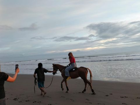 Wisatawan saat mencoba untuk menikmati wisata naik kuda di pantai Rambut Siwi, Kecamatan Mendoyo, Kabupaten Jembrana, Minggu (26/2/2023).