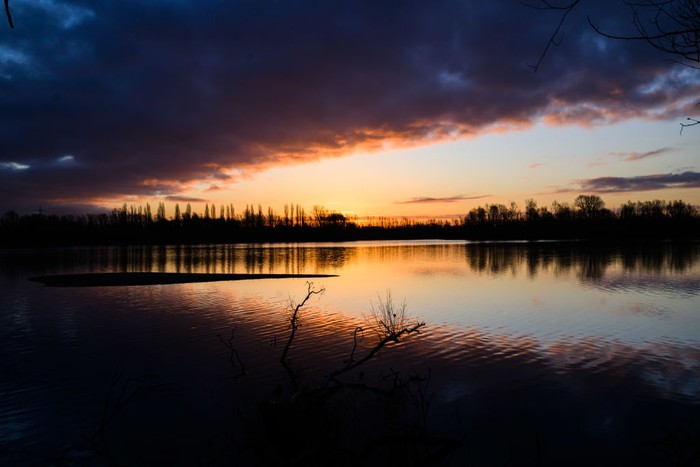 27 February 2023, Lower Saxony, Hanover: In the warm light of the rising sun, two gray herons fly over the Koldingen lakes in the Hannover region. Photo: Julian Stratenschulte/dpa (Photo by Julian Stratenschulte/picture alliance via Getty Images)