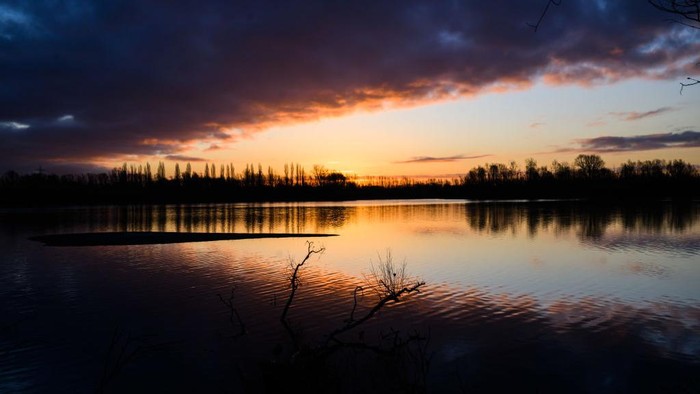 1247525701 27 February 2023, Lower Saxony, Hanover: In the warm light of the rising sun, two gray herons fly over the Koldingen lakes in the Hannover region. Photo: Julian Stratenschulte/dpa (Photo by Julian Stratenschulte/picture alliance via Getty Images)
