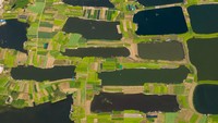 Seperti ini penampakan kebun sayuran yang dikolaborasikan dengan kolam ikan hasil kreasi dari para petani di kawasan Wuzhou, China. Lanskap ini diambil menggunakan drone pada 26 Februari 2023 lalu.
