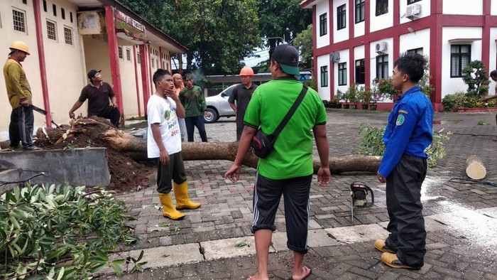 Angin Kencang Robohkan Warung Dan Tumbangkan Pohon Di Pasuruan