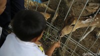 Selain itu, kegiatan ini juga sebagai salah satu bentuk tanggung jawab perusahaan dalam melestarikan keanekaragaman hayati. 